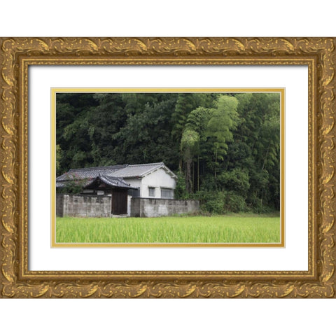 Japan, Heguri-cho Rural home next to rice field Gold Ornate Wood Framed Art Print with Double Matting by Flaherty, Dennis