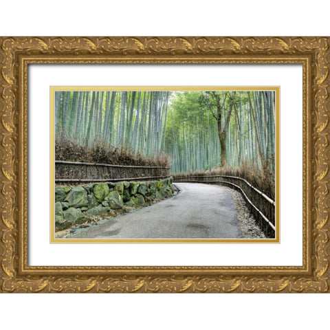 Japan, Kyoto Arashiyama Bamboo Grove Gold Ornate Wood Framed Art Print with Double Matting by Flaherty, Dennis