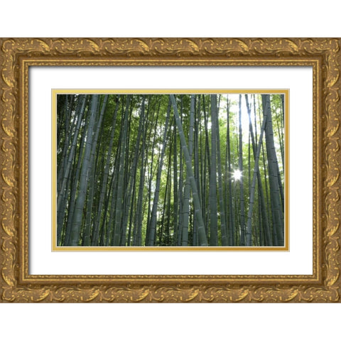 Japan, Kyoto Arashiyama Bamboo Grove Gold Ornate Wood Framed Art Print with Double Matting by Flaherty, Dennis