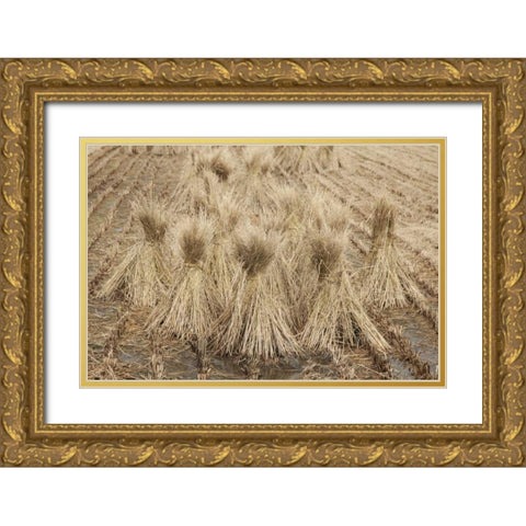 Japan, Nara Prefecture, Heguri-cho Drying rice Gold Ornate Wood Framed Art Print with Double Matting by Flaherty, Dennis