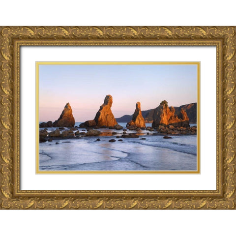 Japan, Wakagama Hashiguiiwa Rocks at sunset Gold Ornate Wood Framed Art Print with Double Matting by Flaherty, Dennis