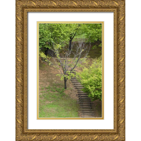 Asia, Japan, Heguri-cho Stairway in a park Gold Ornate Wood Framed Art Print with Double Matting by Flaherty, Dennis