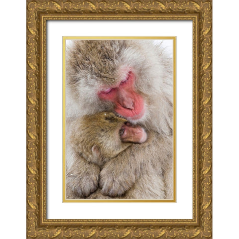 Japan-Nagano  Gold Ornate Wood Framed Art Print with Double Matting by Goff, Ellen