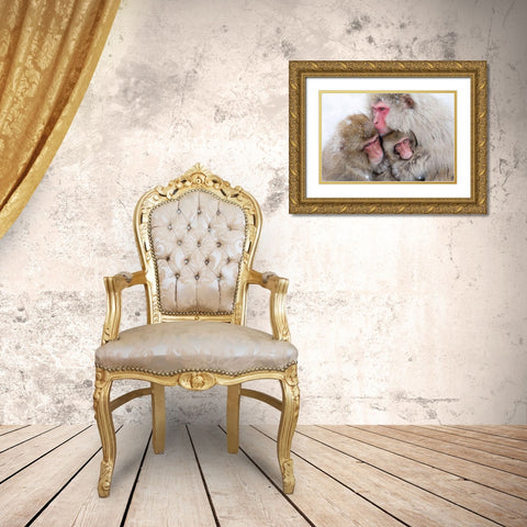 Japan-Nagano  Gold Ornate Wood Framed Art Print with Double Matting by Goff, Ellen