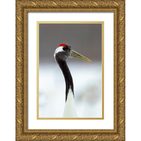 Japan-Hokkaido-Kushiro  Gold Ornate Wood Framed Art Print with Double Matting by Goff, Ellen
