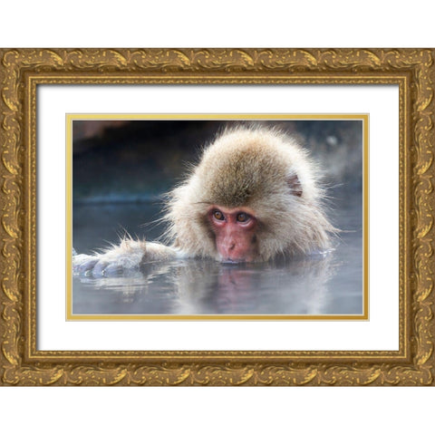Japan-Nagano Portrait of a juvenile Gold Ornate Wood Framed Art Print with Double Matting by Goff, Ellen