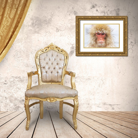 Japan-Nagano  Gold Ornate Wood Framed Art Print with Double Matting by Goff, Ellen