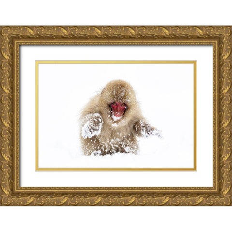 Japan-Nagano Gold Ornate Wood Framed Art Print with Double Matting by Goff, Ellen