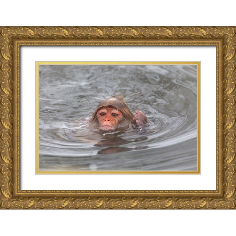 Japan-Nagano Gold Ornate Wood Framed Art Print with Double Matting by Goff, Ellen