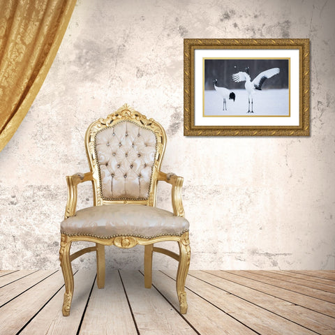 A red-crowned crane throws a chunk of snow in the air as part of its courtship dance Gold Ornate Wood Framed Art Print with Double Matting by Goff, Ellen