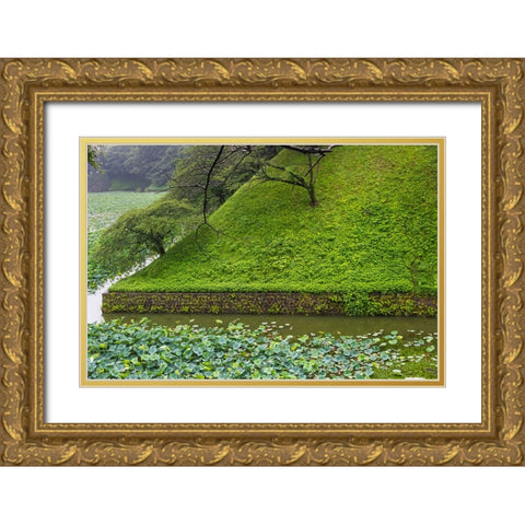 Lotus pond in the Royal Palace-Tokyo-Japan Gold Ornate Wood Framed Art Print with Double Matting by Su, Keren