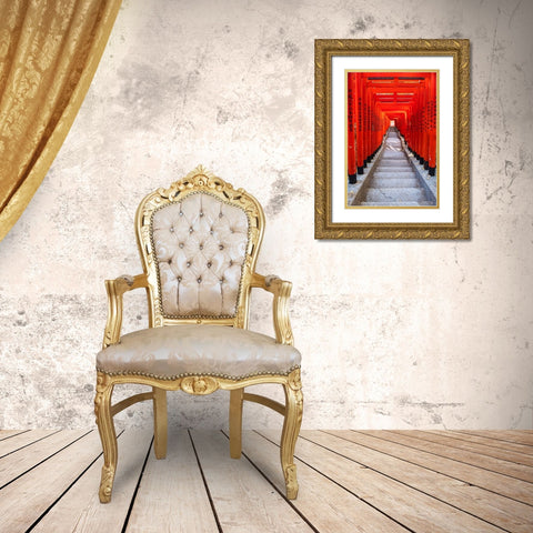 Famous Torii-or gates of the entrance to the Hie Shrine in Tokyo-Japan Gold Ornate Wood Framed Art Print with Double Matting by Haddad, Sheila