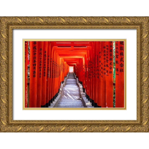 Famous Torii-or gates of the entrance to the Hie Shrine in Tokyo-Japan Gold Ornate Wood Framed Art Print with Double Matting by Haddad, Sheila