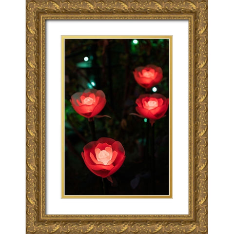 Illuminated red roses of the Ashikaga Flower park-Japan-at night in winter Gold Ornate Wood Framed Art Print with Double Matting by Haddad, Sheila
