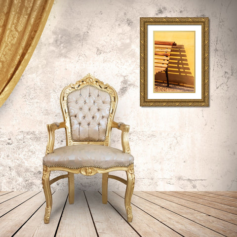 Bench and shadow. Gold Ornate Wood Framed Art Print with Double Matting by Haseltine, Tom