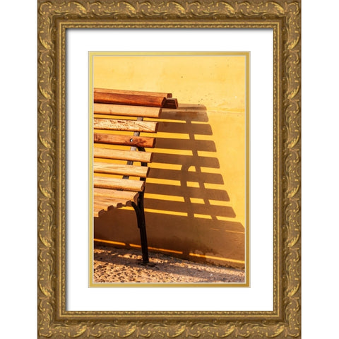 Bench and shadow. Gold Ornate Wood Framed Art Print with Double Matting by Haseltine, Tom