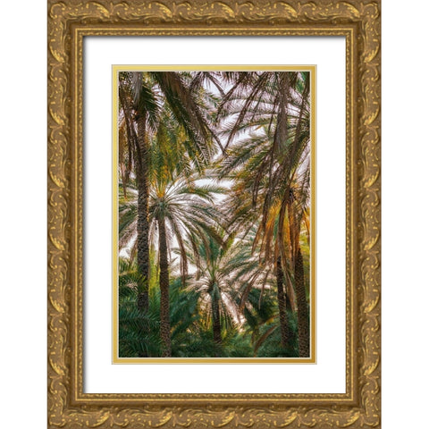 Middle East-Arabian Peninsula-Oman-Ad Dakhiliyah-Nizwa-Palm trees in Nizwa-Oman Gold Ornate Wood Framed Art Print with Double Matting by Wilson, Emily M.