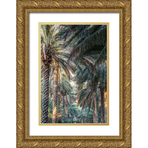 Middle East-Arabian Peninsula-Oman-Ad Dakhiliyah-Nizwa-Palm trees in Nizwa-Oman Gold Ornate Wood Framed Art Print with Double Matting by Wilson, Emily M.