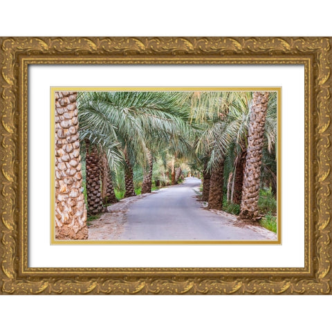 Middle East-Arabian Peninsula-Oman-Ad Dakhiliyah-Nizwa-Palm trees along a road in Nizwa-Oman Gold Ornate Wood Framed Art Print with Double Matting by Wilson, Emily M.