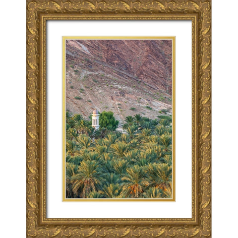 Middle East-Arabian Peninsula-Oman-Ad Dakhiliyah-Nizwa Gold Ornate Wood Framed Art Print with Double Matting by Wilson, Emily M.