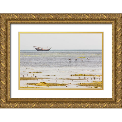 Middle East-Arabian Peninsula-Al Batinah South-Mahout-Flamingos Gold Ornate Wood Framed Art Print with Double Matting by Wilson, Emily M.