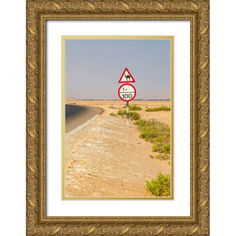 Middle East-Arabian Peninsula-Al Batinah South-Camel crossing Gold Ornate Wood Framed Art Print with Double Matting by Wilson, Emily M.