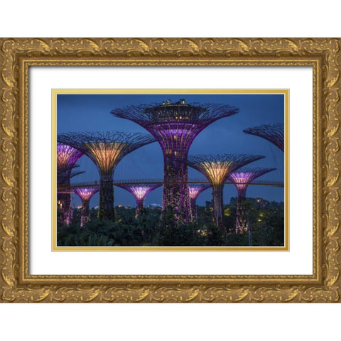 Singapore Garden by the Sea towers at night Gold Ornate Wood Framed Art Print with Double Matting by Zuckerman, Jim