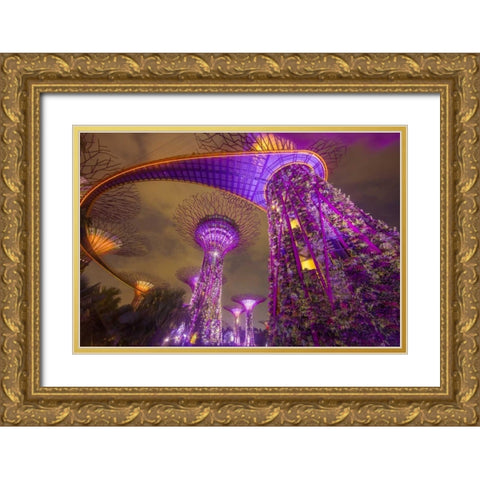 Singapore Garden by the Sea towers at night Gold Ornate Wood Framed Art Print with Double Matting by Zuckerman, Jim