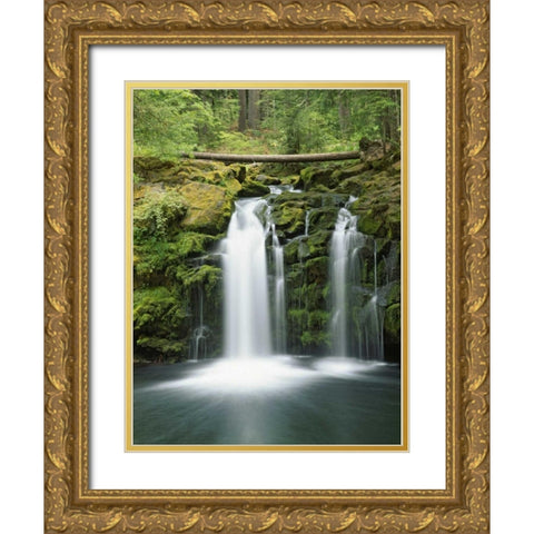 OR, Cascade Range, Umpqua NF Whitehorse Falls Gold Ornate Wood Framed Art Print with Double Matting by Flaherty, Dennis