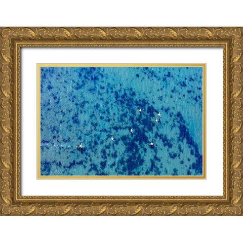 Flamingos flying at the Aegean coast-Turkey Gold Ornate Wood Framed Art Print with Double Matting by Kabas, Ali