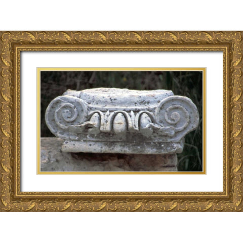 Turkey, Ephesus Roman Ionic column fragment Gold Ornate Wood Framed Art Print with Double Matting by Noble Gardner, Nancy