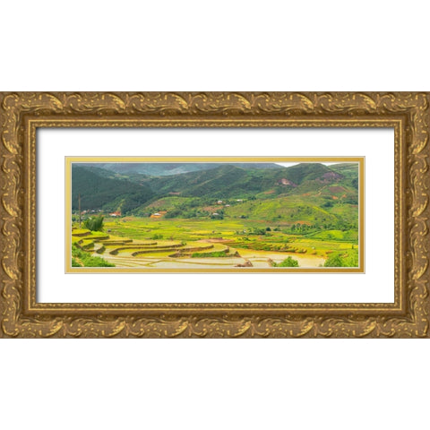 Vietnam -Rice paddies in the highlands of Sapa Gold Ornate Wood Framed Art Print with Double Matting by Norring, Tom