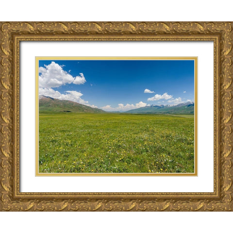 The Suusamyr plain-a high valley in Tien Shan Mountains-Kyrgyzstan Gold Ornate Wood Framed Art Print with Double Matting by Zwick, Martin