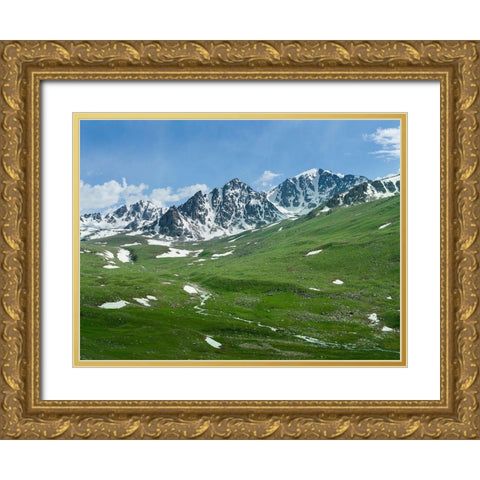 Landscape at the Otmok mountain pass in the Tien Shan or heavenly mountains-Kyrgyzstan Gold Ornate Wood Framed Art Print with Double Matting by Zwick, Martin