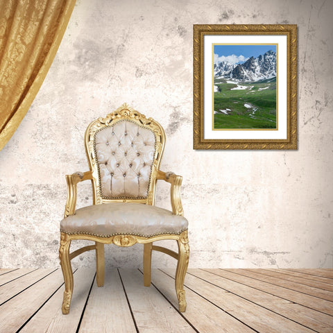 Landscape at the Otmok mountain pass in the Tien Shan or heavenly mountains-Kyrgyzstan Gold Ornate Wood Framed Art Print with Double Matting by Zwick, Martin