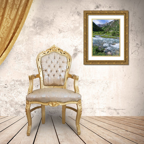 Landscape in the National Park Besch Tasch in the Talas Alatoo mountain range Gold Ornate Wood Framed Art Print with Double Matting by Zwick, Martin