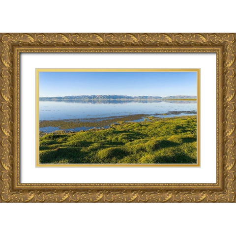 Landscape at lake Song Kol  Gold Ornate Wood Framed Art Print with Double Matting by Zwick, Martin