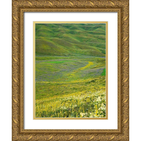 Wildflower meadow near the mountain road from Kazarman to mountain pass Urum Basch Ashuusu in the  Gold Ornate Wood Framed Art Print with Double Matting by Zwick, Martin