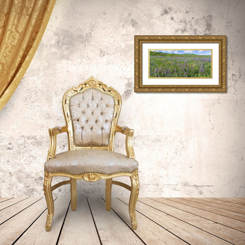 Wildflower meadow near the mountain road from Kazarman to mountain pass Urum Basch Ashuusu in the  Gold Ornate Wood Framed Art Print with Double Matting by Zwick, Martin