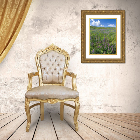 Wildflower meadow near the mountain road from Kazarman to mountain pass Urum Basch Ashuusu in the  Gold Ornate Wood Framed Art Print with Double Matting by Zwick, Martin