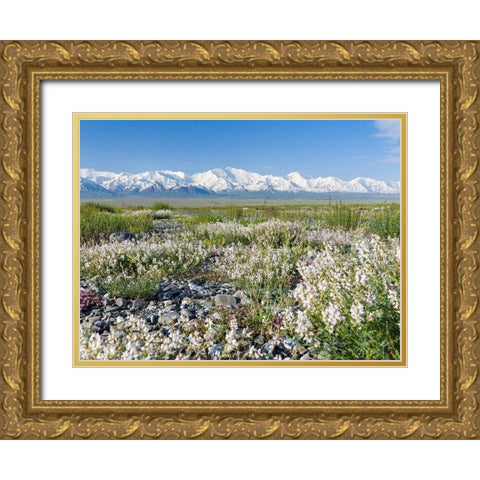 Peak Pik Lenin or Kullai abu-ali ibn Sino and Pik Dserschinski Alay Valley  Gold Ornate Wood Framed Art Print with Double Matting by Zwick, Martin