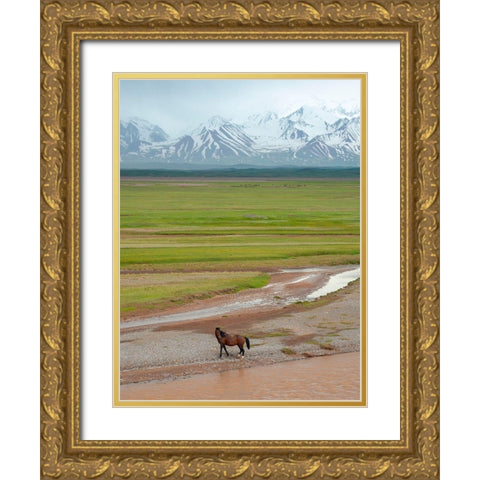 Horses in the Alay Valley and the Trans-Alay Range in the Pamir Mountains  Gold Ornate Wood Framed Art Print with Double Matting by Zwick, Martin