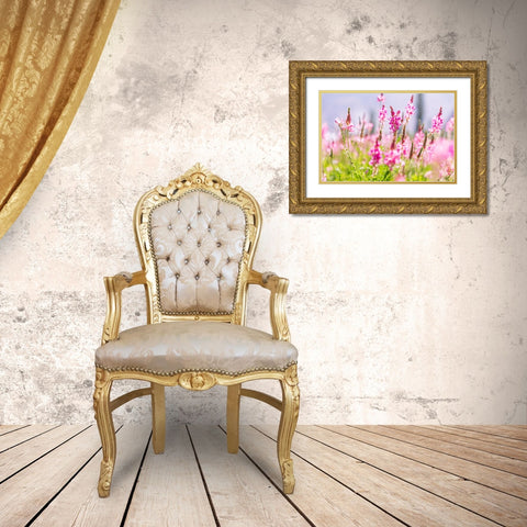 Sarytag-Sughd Province-Tajikistan Field of pink wildflowers in sunshine Gold Ornate Wood Framed Art Print with Double Matting by Wilson, Emily M.