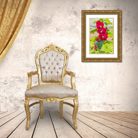 Sarytag-Sughd Province-Tajikistan Hollyhock blossoms in the mountains of Tajikistan Gold Ornate Wood Framed Art Print with Double Matting by Wilson, Emily M.