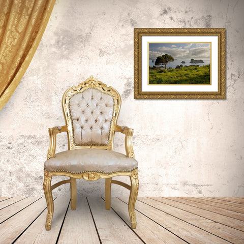 New Zealand, North Is Stingray Bay at sunrise Gold Ornate Wood Framed Art Print with Double Matting by Grall, Don