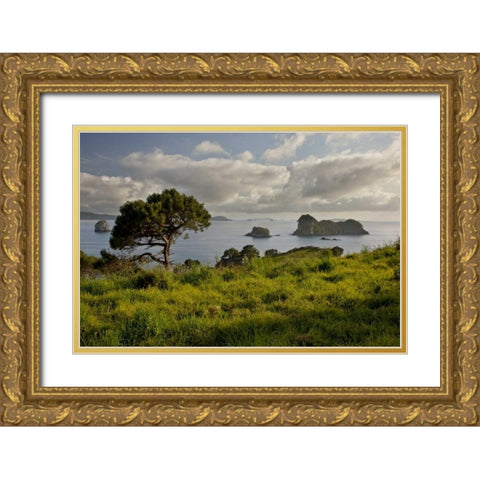 New Zealand, North Is Stingray Bay at sunrise Gold Ornate Wood Framed Art Print with Double Matting by Grall, Don