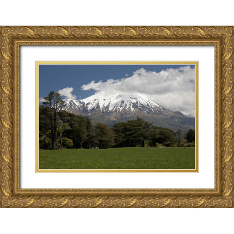 New Zealand, North Island Volcanic Mt Taranaki Gold Ornate Wood Framed Art Print with Double Matting by Grall, Don