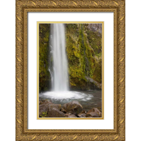 New Zealand, Taranaki Dawson Falls in Egmont NP Gold Ornate Wood Framed Art Print with Double Matting by Grall, Don