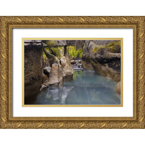 New Zealand, North Island Rocks at low tide Gold Ornate Wood Framed Art Print with Double Matting by Grall, Don
