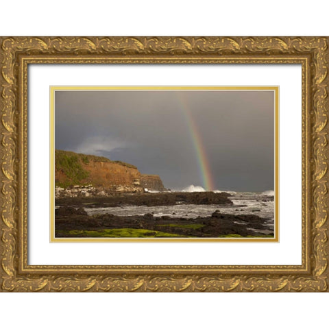 New Zealand, South Island Rainbow over Curio Bay Gold Ornate Wood Framed Art Print with Double Matting by Grall, Don